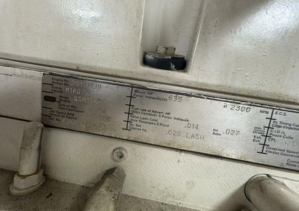 Luhrs 41 Convertible image