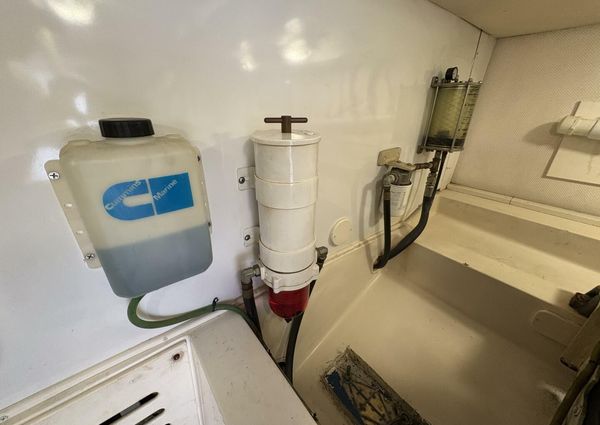 Luhrs 41 Convertible image