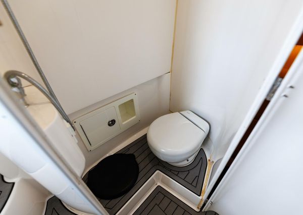 Contender 39 Fisharound image