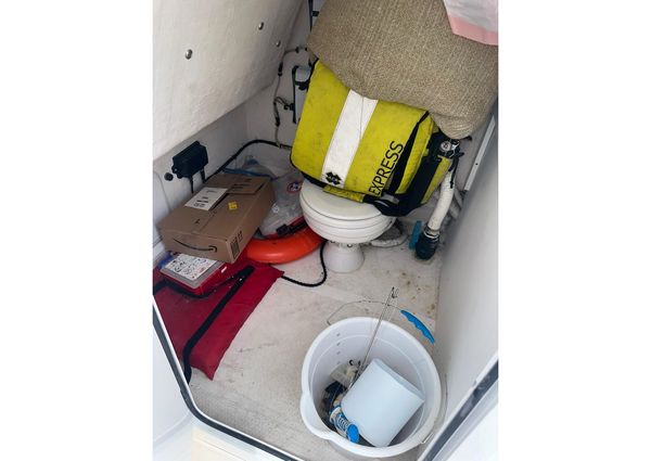 Twin Vee 340 GFX CC image