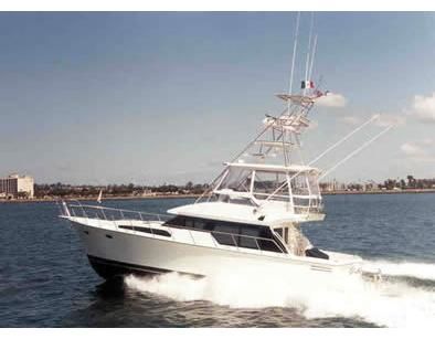 Mikelson 43 Sportfisher image