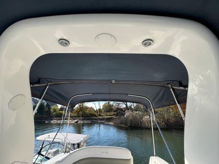 Sea Ray 260 Sundancer image