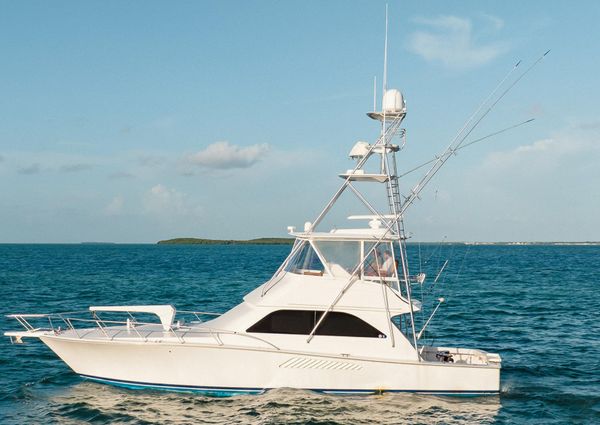 Viking 48 Convertible image