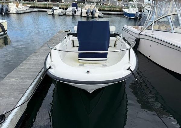 Boston-whaler DAUNTLESS-18 image