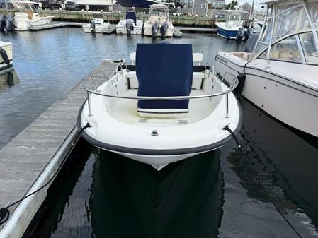 Boston-whaler DAUNTLESS-18 image