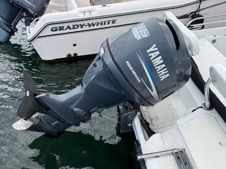 Boston-whaler DAUNTLESS-18 image