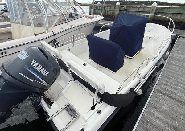 Boston-whaler DAUNTLESS-18 image