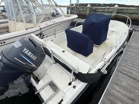 Boston-whaler DAUNTLESS-18 image