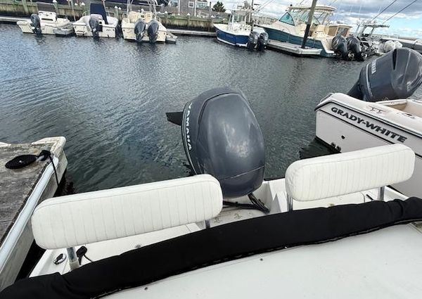 Boston-whaler DAUNTLESS-18 image