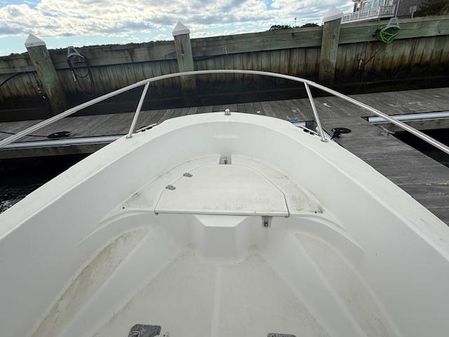 Boston-whaler DAUNTLESS-18 image