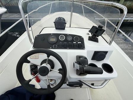 Boston-whaler DAUNTLESS-18 image