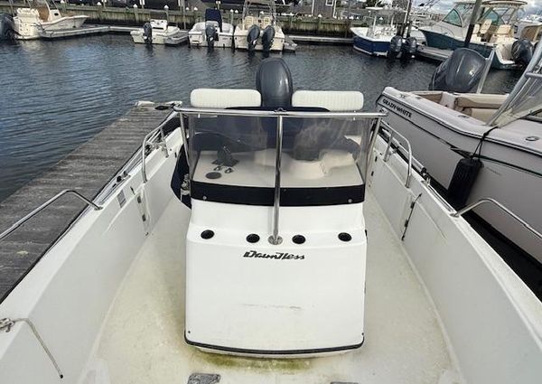 Boston-whaler DAUNTLESS-18 image