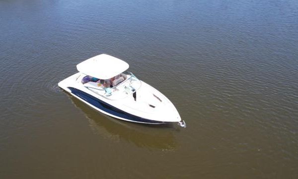 Regal 3300 Bowrider image