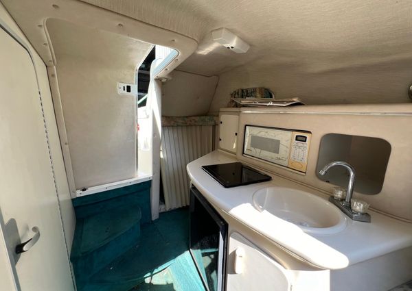 Sea-ray 250-SUNDANCER image