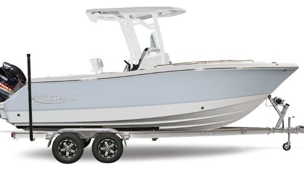 Robalo R230 Center Console