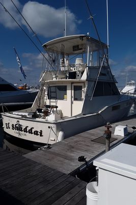 Hatteras 42 Convertible w 1010 HRS - main image