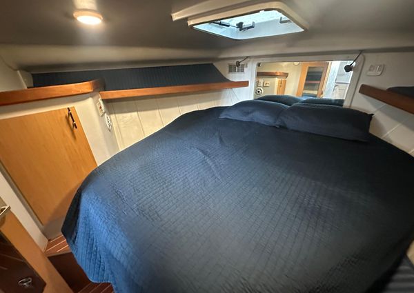 Mainship 40 Sedan Bridge image