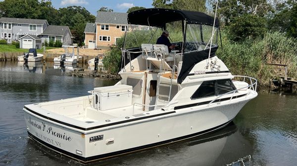 Bertram 28 Flybridge 