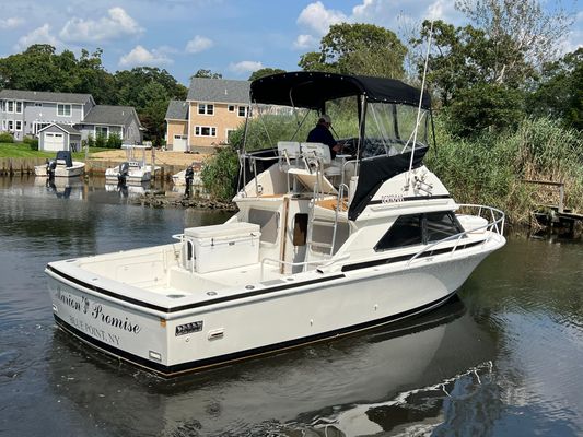 Bertram 28 Flybridge - main image