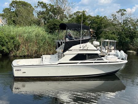 Bertram 28 Flybridge image