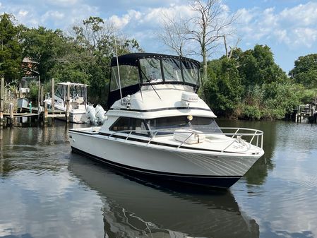 Bertram 28 Flybridge image