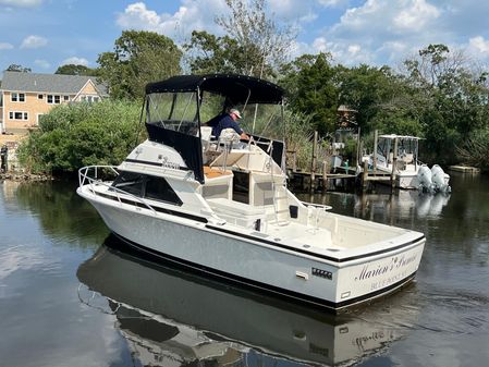 Bertram 28 Flybridge image