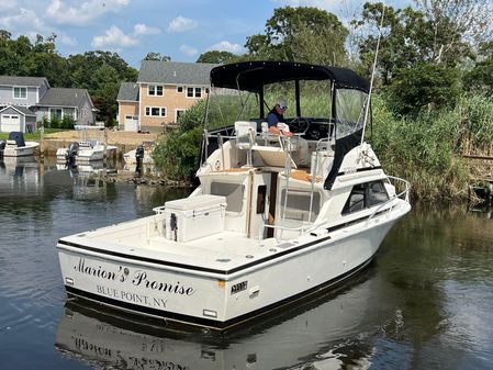 Bertram 28 Flybridge image