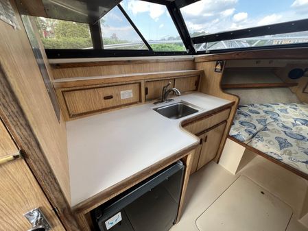 Bertram 28 Flybridge image