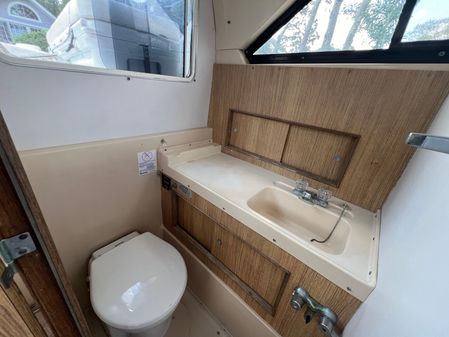 Bertram 28 Flybridge image