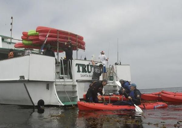 Custom Expedition Liveaboard image