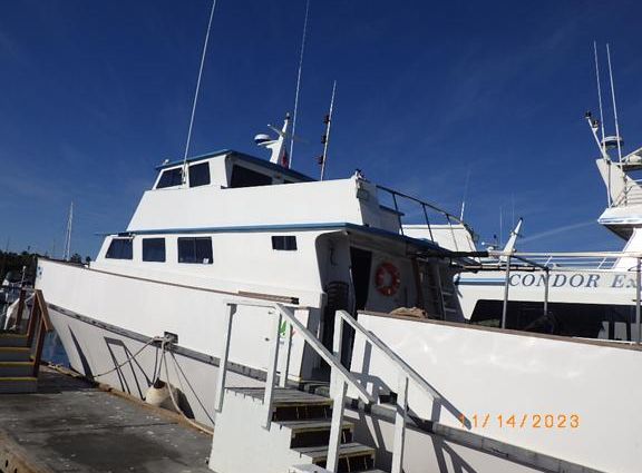 Custom Expedition Liveaboard image