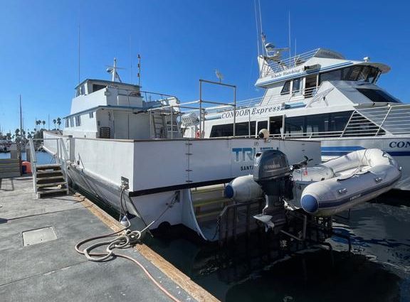 Custom Expedition Liveaboard image