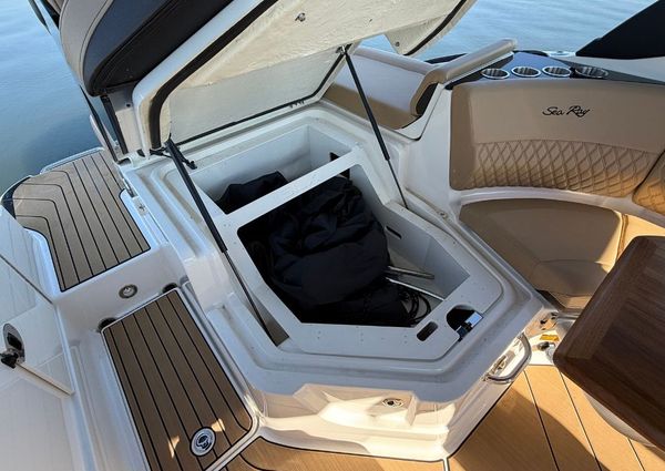 Sea Ray SLX 260 Outboard image