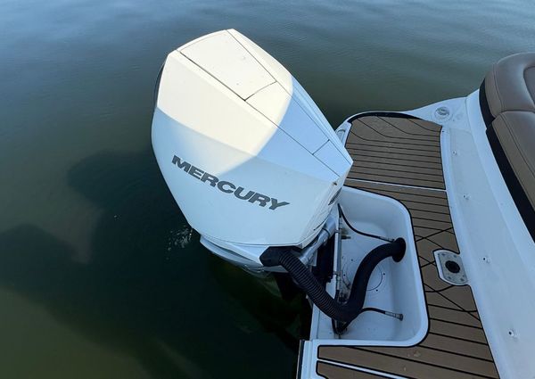 Sea Ray SLX 260 Outboard image