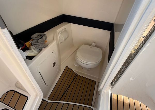 Sea Ray SLX 260 Outboard image