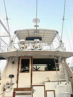 Hatteras Sportfish image