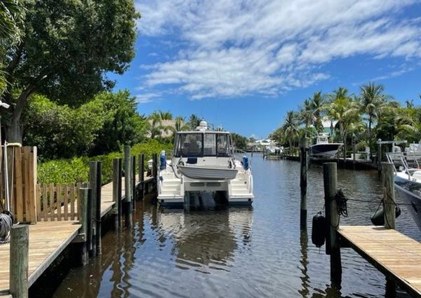 Endeavour Trawler Cat 38 image
