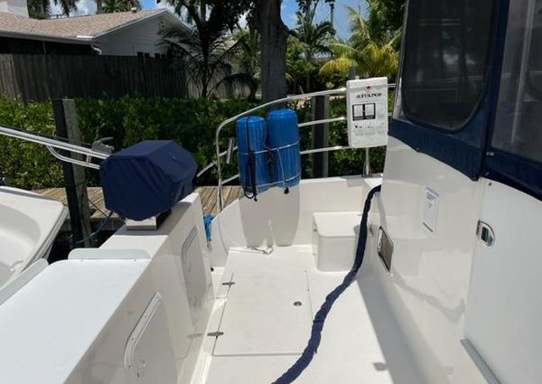 Endeavour Trawler Cat 38 image