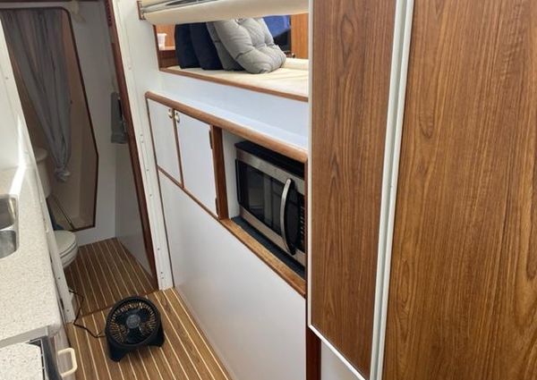 Endeavour Trawler Cat 38 image