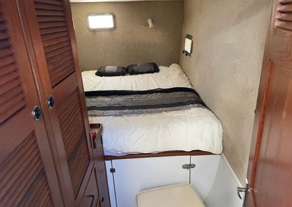 Endeavour Trawler Cat 38 image