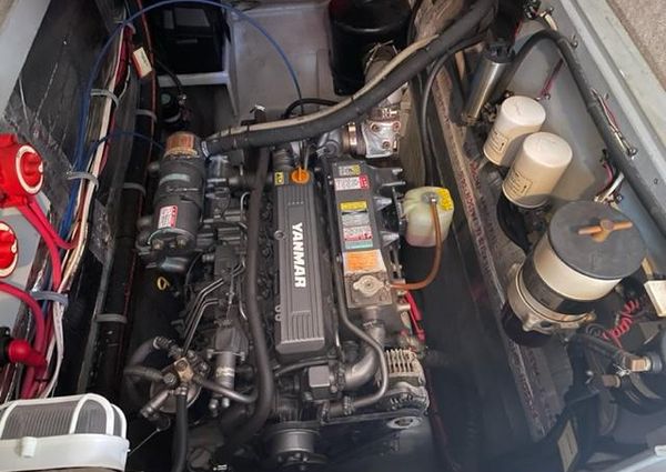 Endeavour Trawler Cat 38 image