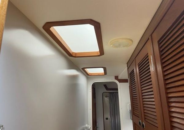 Endeavour Trawler Cat 38 image