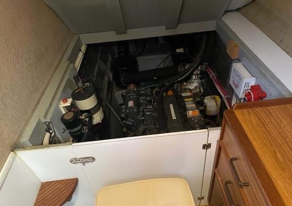 Endeavour Trawler Cat 38 image