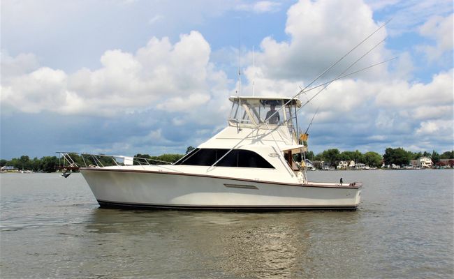 Ocean Yachts 44 Super Sport - main image