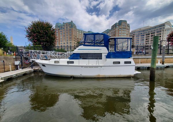 Carver 3607 Aft Cabin image