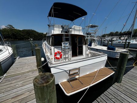 Bayliner 388 image