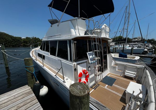 Bayliner 388 image