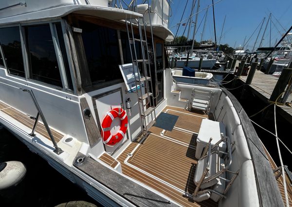 Bayliner 388 image