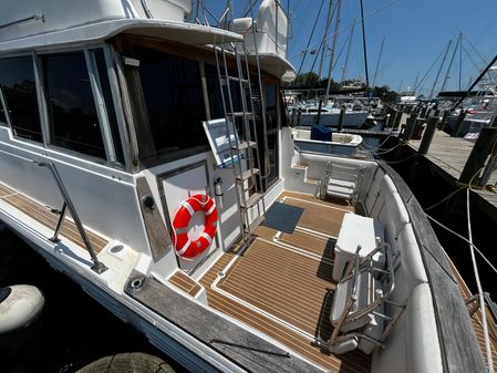 Bayliner 388 image