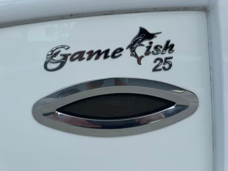 Sea Hunt Gamefish 25 image